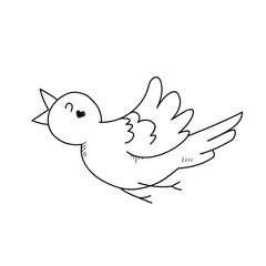 Freehand drawing illustration of Bird