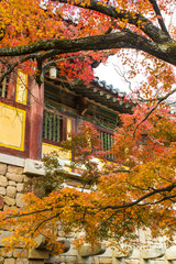 Beautiful Autumn Landscape