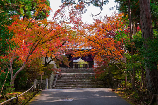 68 Best 曼殊院 Images Stock Photos Vectors Adobe Stock