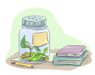Caterpillar Study Jar Books