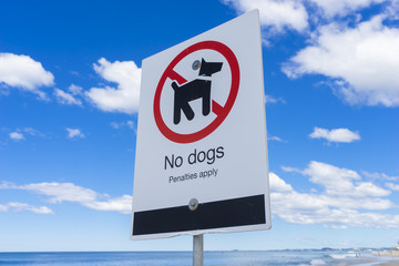 No dogs sign on a beach