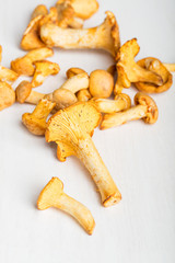 Heap of fresh yellow forestry chanterelle