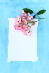 Beautiful pink ballerina roses on blue painted background and white paper.