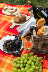 Picnic concept - food and wine on the blanket