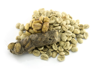 Kopi Luwak or civet coffee isolated on white background