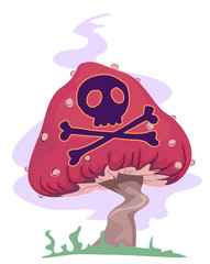 Psychedelic Mushroom Poisonous