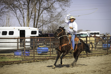 Old Cowboy Practicing Roping