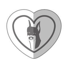 grayscale silhouette middle shadow sticker with doberman pinscher inside of heart vector illustration