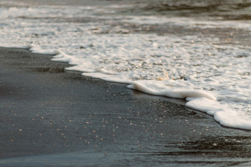 Seashore on the beaches of costa rica