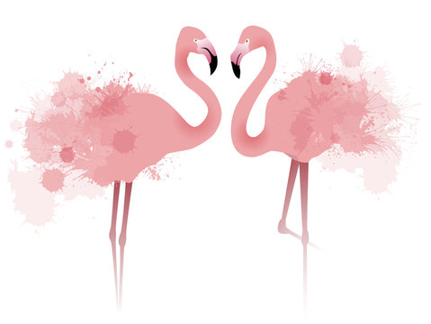 Vector illustration of couple pink flamingos with watercolor splatter and splash