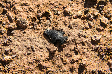 Arrowhead laying in the dirt