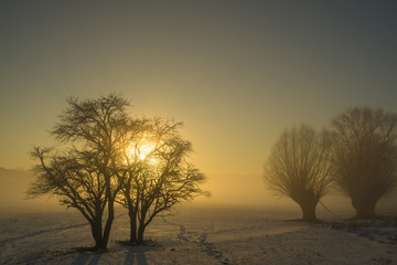 Fototapeta na wymiar Winterlicher Sonnenuntergang bei Nebel