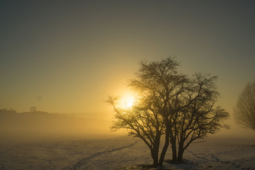 Winterlicher Sonnenuntergang bei Nebel