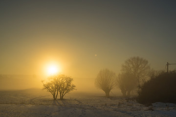 Plakat Winterlicher Sonnenuntergang bei Nebel