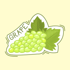 Bunche of grape badge vector illustration.