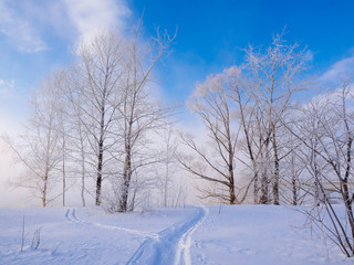 北海道の冬道