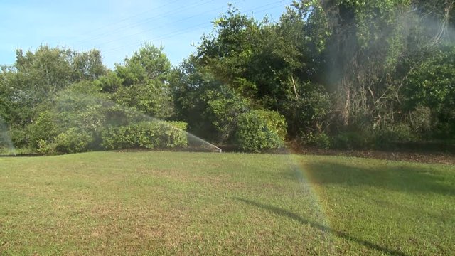Backyard Rainbow from Water Hose