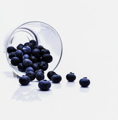 Blueberries.