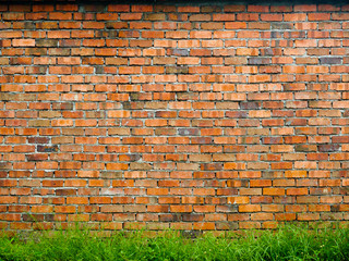 Old Red brick wall background with green grass