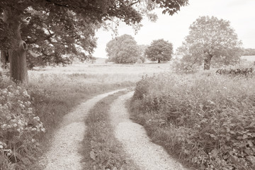 Obraz premium Landscpae in Monyash; Peak District; England