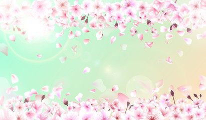 Fototapeta na wymiar Blooming cherry. Spring background. Falling sakura pink petals. EPS 10 vector