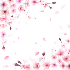 Blooming cherry. Spring background. Falling sakura pink petals. EPS 10 vector