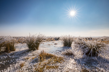Beautiful winter scenery with trees covered by frost, along frozen river