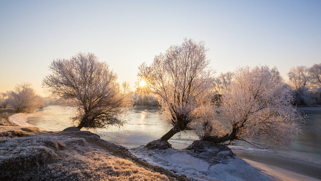 Beautiful winter scenery with trees covered by frost, along frozen river