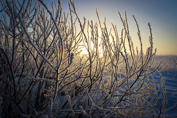 Утренний туман. Зимняя дорога. Россия