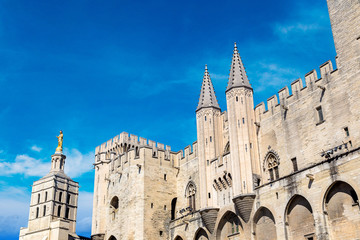 Fototapeta na wymiar Cathedral and Papal palace in Avignon