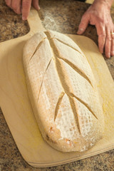 Scored Pastry Dough on Wooden Baking Paddle