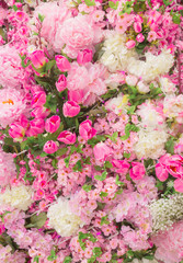 Abstract background of flowers. Close-up