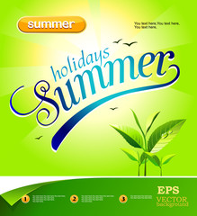 Vector summer background