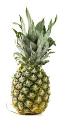 Fototapeta premium pineapple with leaves isolated on white background