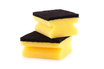 Sponges