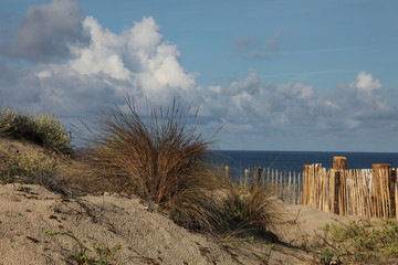 bord de l'océan