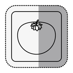 monochrome square with middle shadow sticker with tomato vector illustration