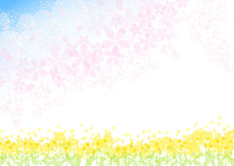 菜の花　桜　青空　背景 