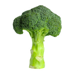 Broccoli isolated on white background