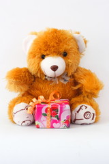 Brown teddy bear and gift boxes on a white background.