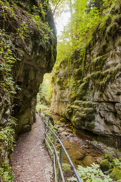 Twann, Weindorf, Twannbachschlucht, Schlucht, Twannberg, Wanderweg, Felsen, Herbst, Herbstwanderung, Jura, Schweiz