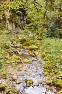 Twann, Schlucht, Twannbachschlucht, Twannberg, Wald, Waldweg, Wanderweg, Herbst, Herbstwanderung, Herbstfarbe, Bach, Moos, Jura, Schweiz