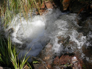 Acqua di torrente