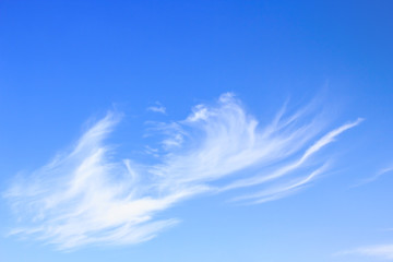 Blue sky background.