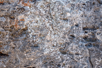 Close-up of stone covered by lichen