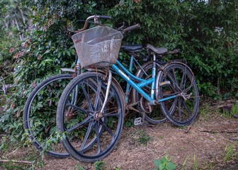 Fototapeta na wymiar Two old rusty bicycles parked by a bushy hedgerow in Vietnam an still being used daily.