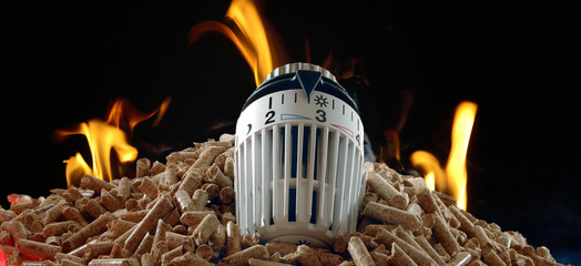 Holzpelletsmit Flamme Symbolfoto Heizen
