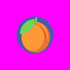 peach icon flat disign