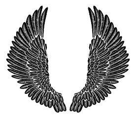Gothic Wings