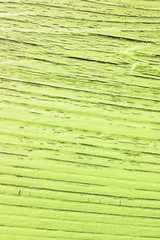 cracked wooden plank, yellow  background